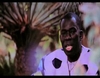 Assane Ndiaye - Soubaly - 7640 vues