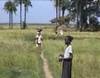 Cultivatrices de riz à Ziguinchor (quartier de Colobane) - 29232 vues