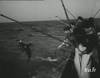 1957 : Pêche et étude du thon à Dakar Sénégal - 9824 vues